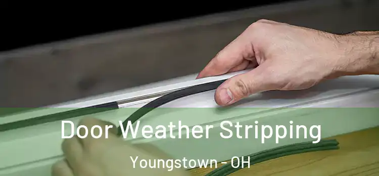 Door Weather Stripping Youngstown - OH