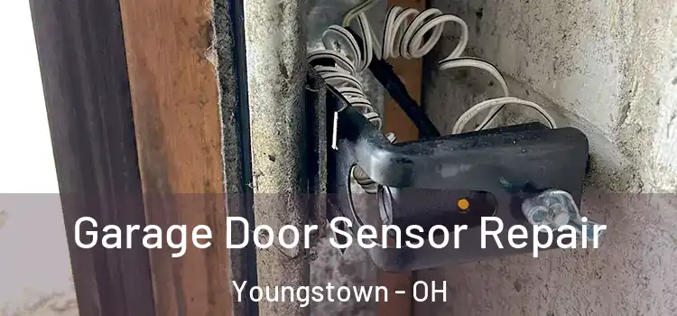 Garage Door Sensor Repair Youngstown - OH