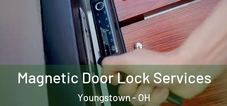 Magnetic Door Lock Services Youngstown - OH